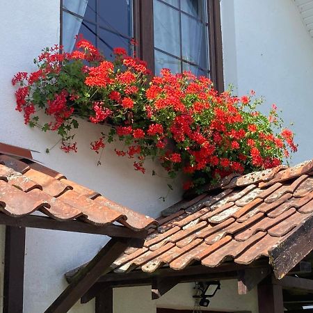 Dom Piasutno Villa Екстериор снимка